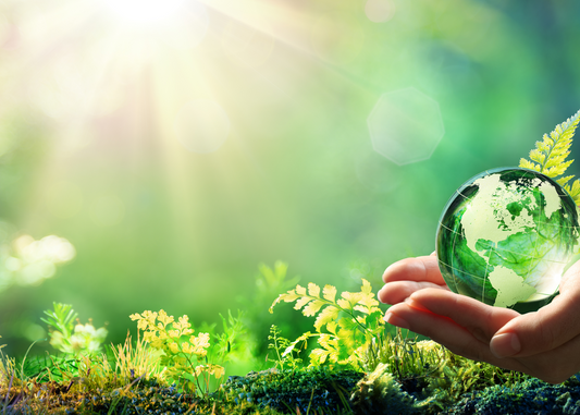 Ditch the Paper, Embrace the Digital: Why Editable Digital Invitations are the Eco-Friendly Choice.